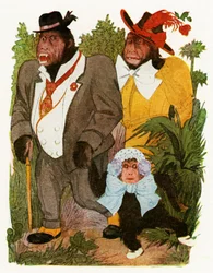 „Mały goryl”, 1913